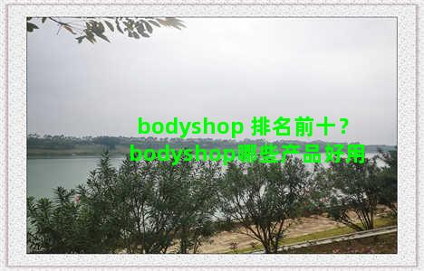 bodyshop 排名前十？bodyshop哪些产品好用